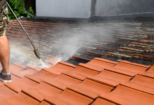 Best Commercial Building Pressure Washing  in Maywood, IL