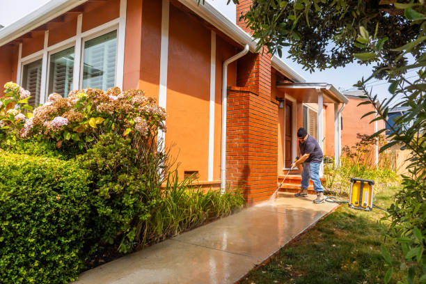 Best House Pressure Washing  in Maywood, IL