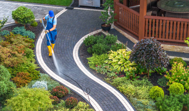  Maywood, IL Pressure Washing Pros